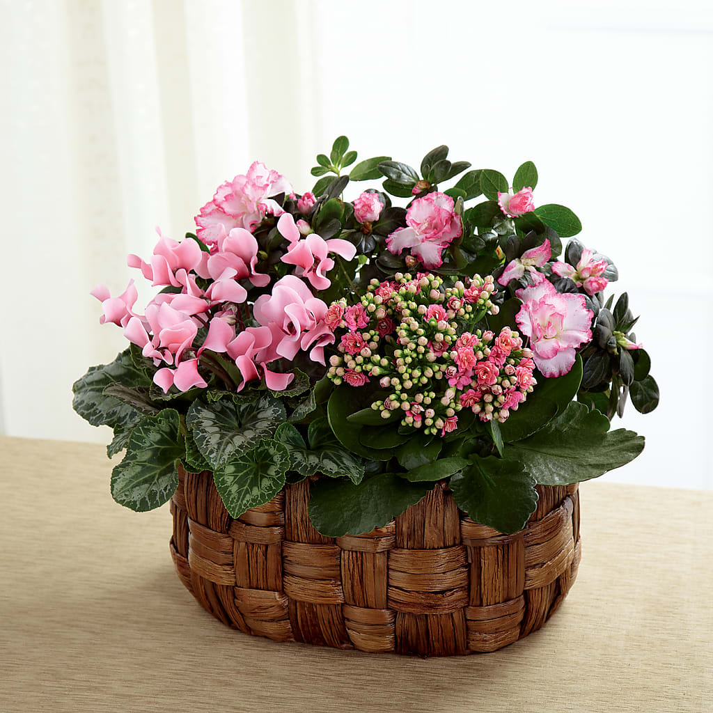 Pink Assortment – Kennedale Florist, Saginaw TX