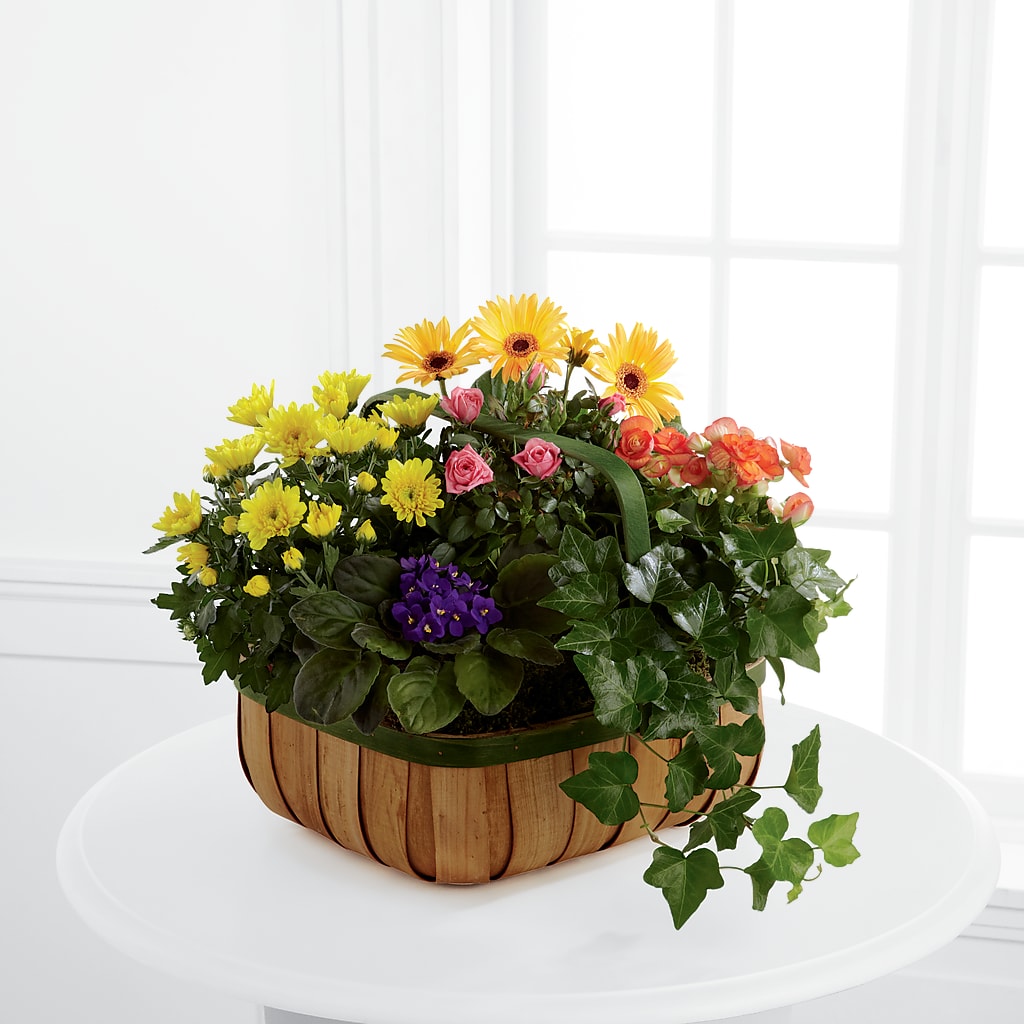 Gentle Blossoms Basket – Kennedale Florist, Saginaw TX