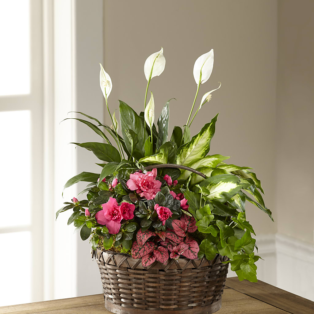 Dream in Pink Dishgarden – Kennedale Florist, Saginaw TX