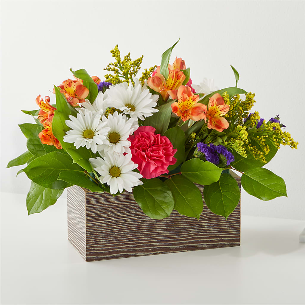 Oopsie Daisy Box Bouquet – Kennedale Florist, Saginaw TX