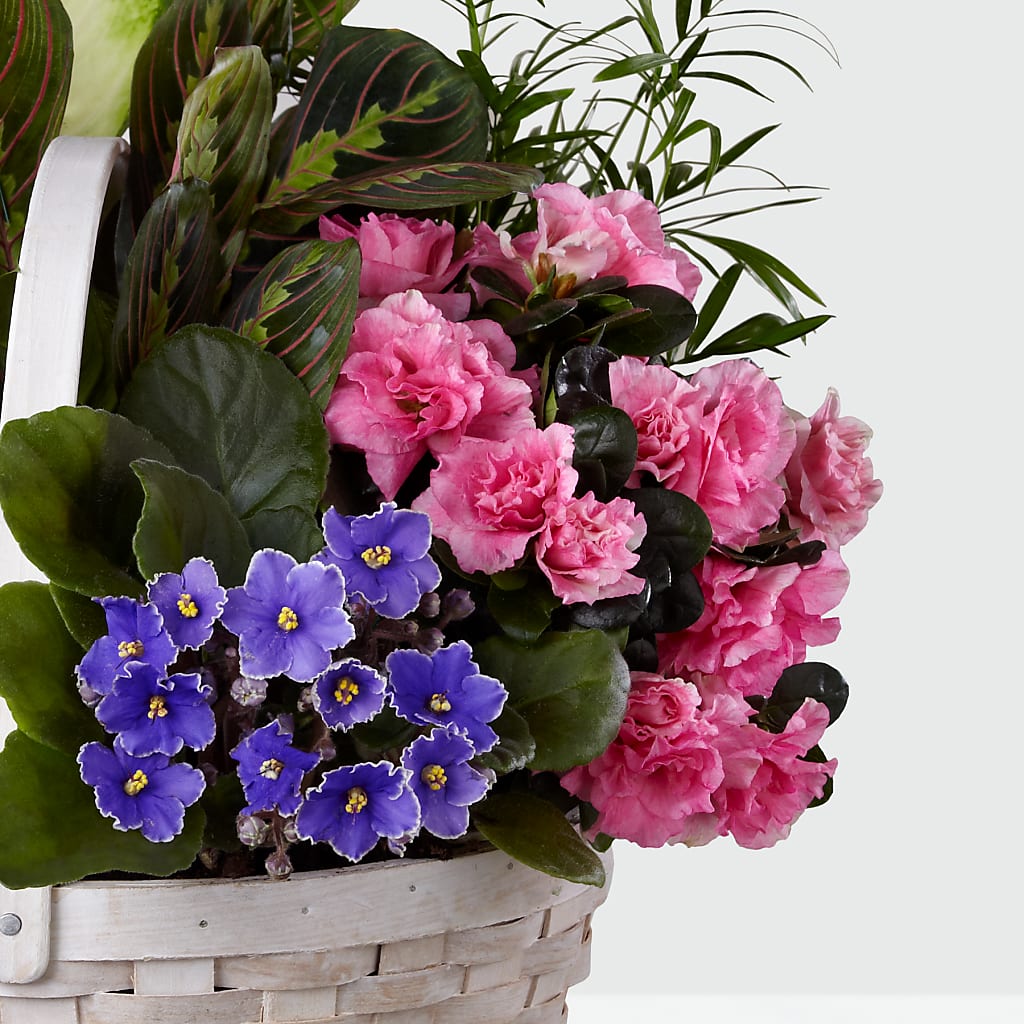 Peaceful Garden Planter – Kennedale Florist, Saginaw TX