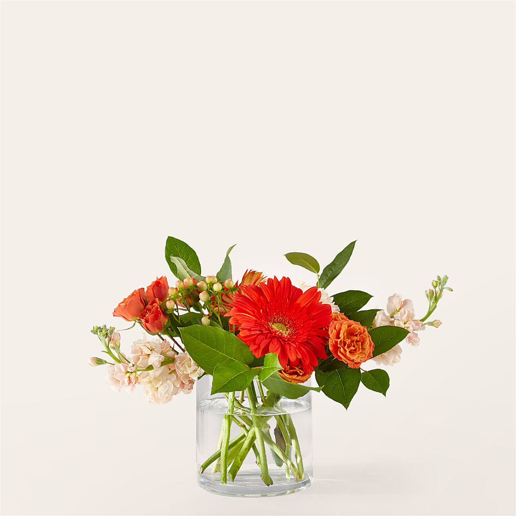 Paloma Please Bouquet – Kennedale Florist, Saginaw TX