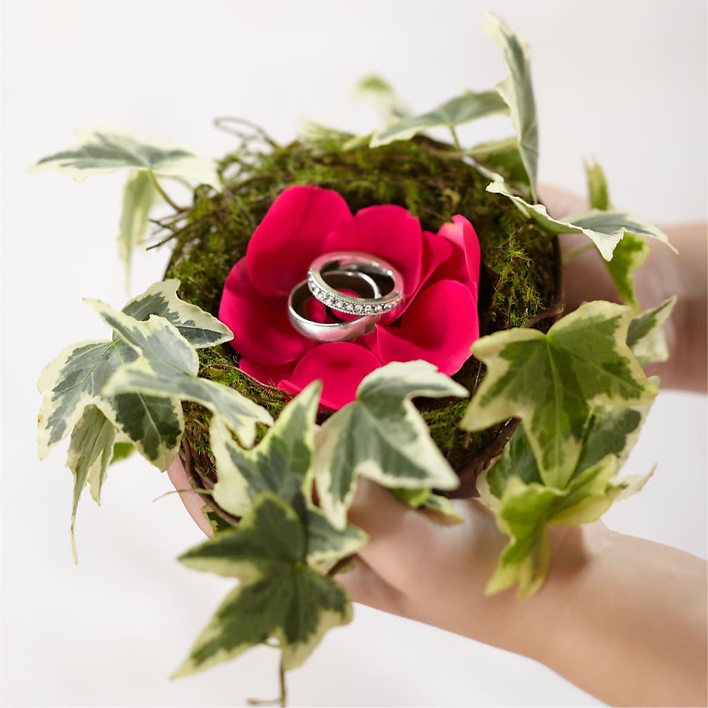 Lila Rose Ring Nest – Kennedale Florist, Saginaw TX