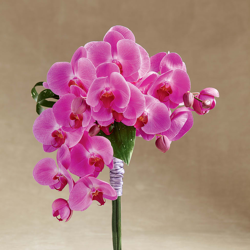 Glorious Bouquet – Kennedale Florist, Saginaw TX