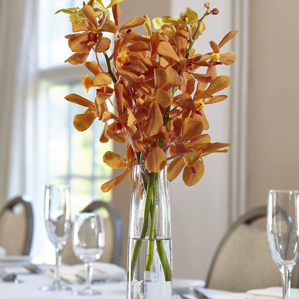 Orange Mokara Bud Vase – Kennedale Florist, Saginaw TX