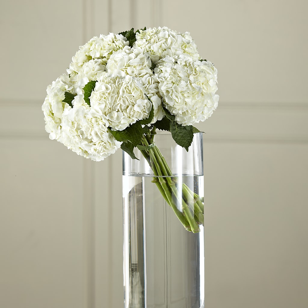 White Hydrangea Hand-Tied Bouquet – Kennedale Florist, Saginaw TX
