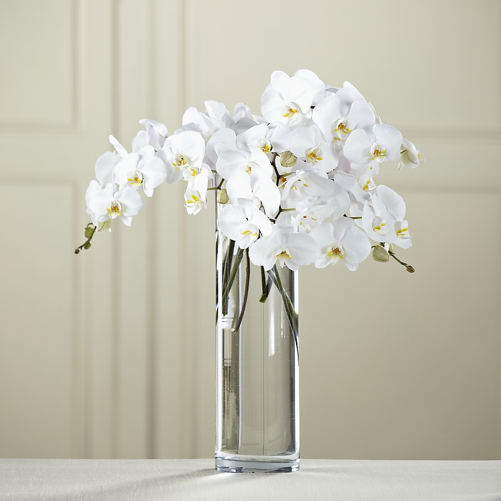 White Phalaenopsis Bouquet – Kennedale Florist, Saginaw TX