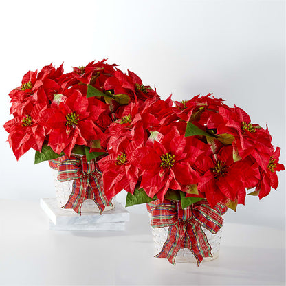 Happiest Holidays Poinsettia Bundle –  Kennedale Florist, Saginaw TX