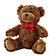 Adorable Plush Bear –  Kennedale Florist, Saginaw TX