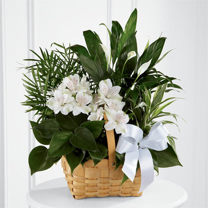 Peace & Serenity Dishgarden –  Kennedale Florist, Saginaw TX