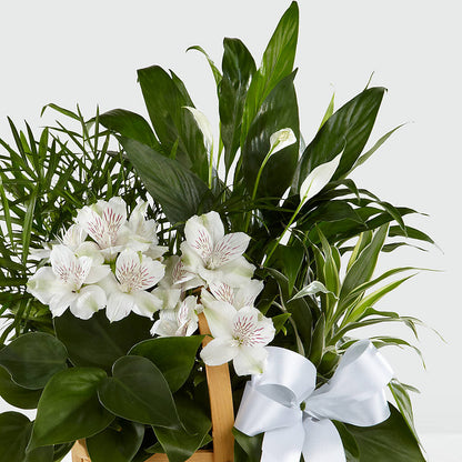 Peace & Serenity Dishgarden –  Kennedale Florist, Saginaw TX