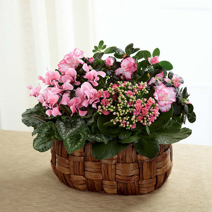 Pink Assortment –  Kennedale Florist, Saginaw TX