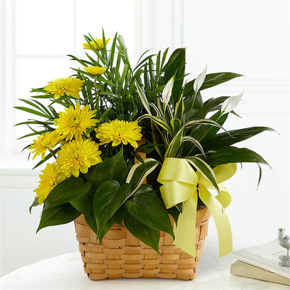Loving Light Dishgarden –  Kennedale Florist, Saginaw TX