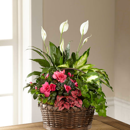 Dream in Pink Dishgarden –  Kennedale Florist, Saginaw TX