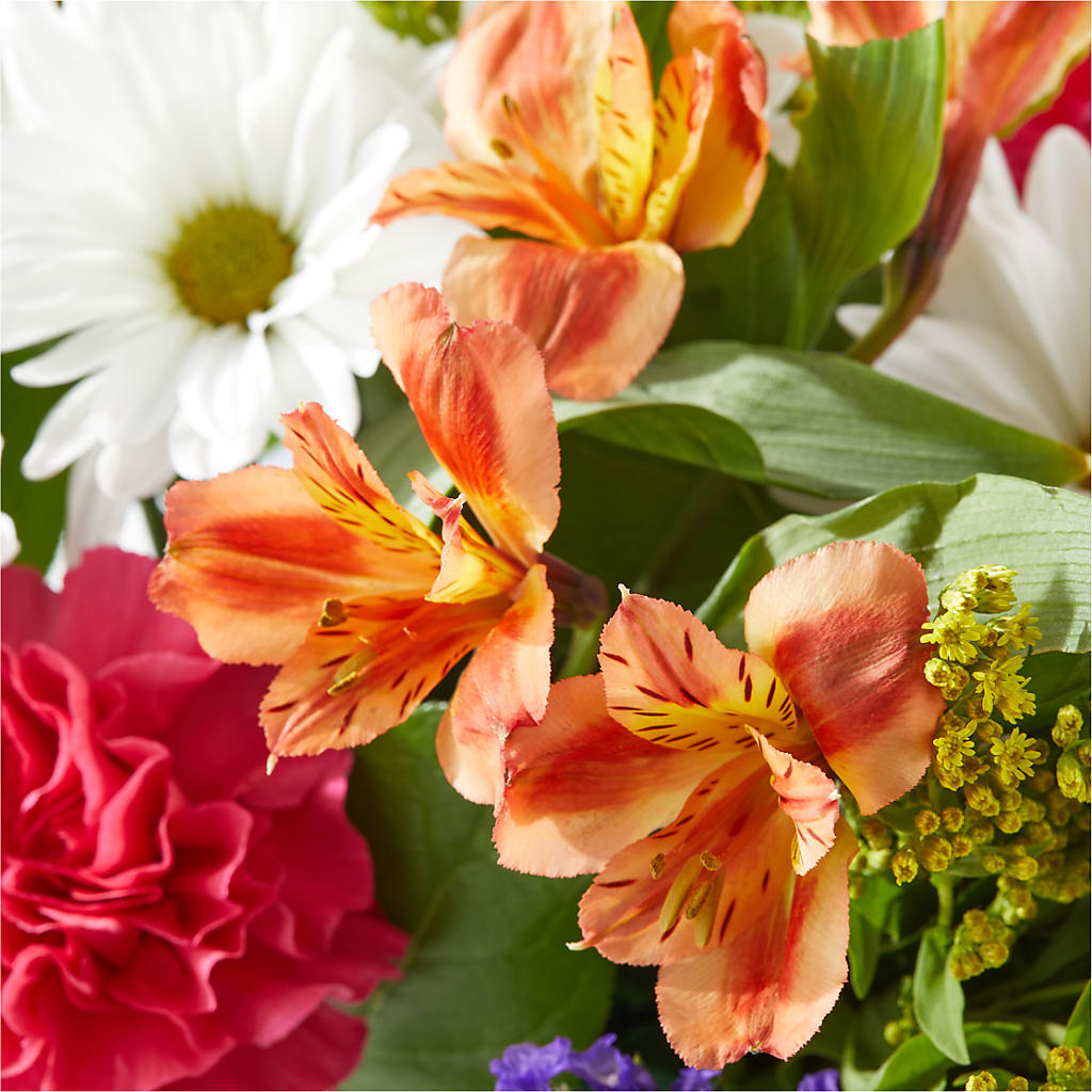 Oopsie Daisy Box Bouquet –  Kennedale Florist, Saginaw TX