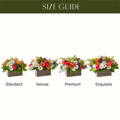 Oopsie Daisy Box Bouquet –  Kennedale Florist, Saginaw TX
