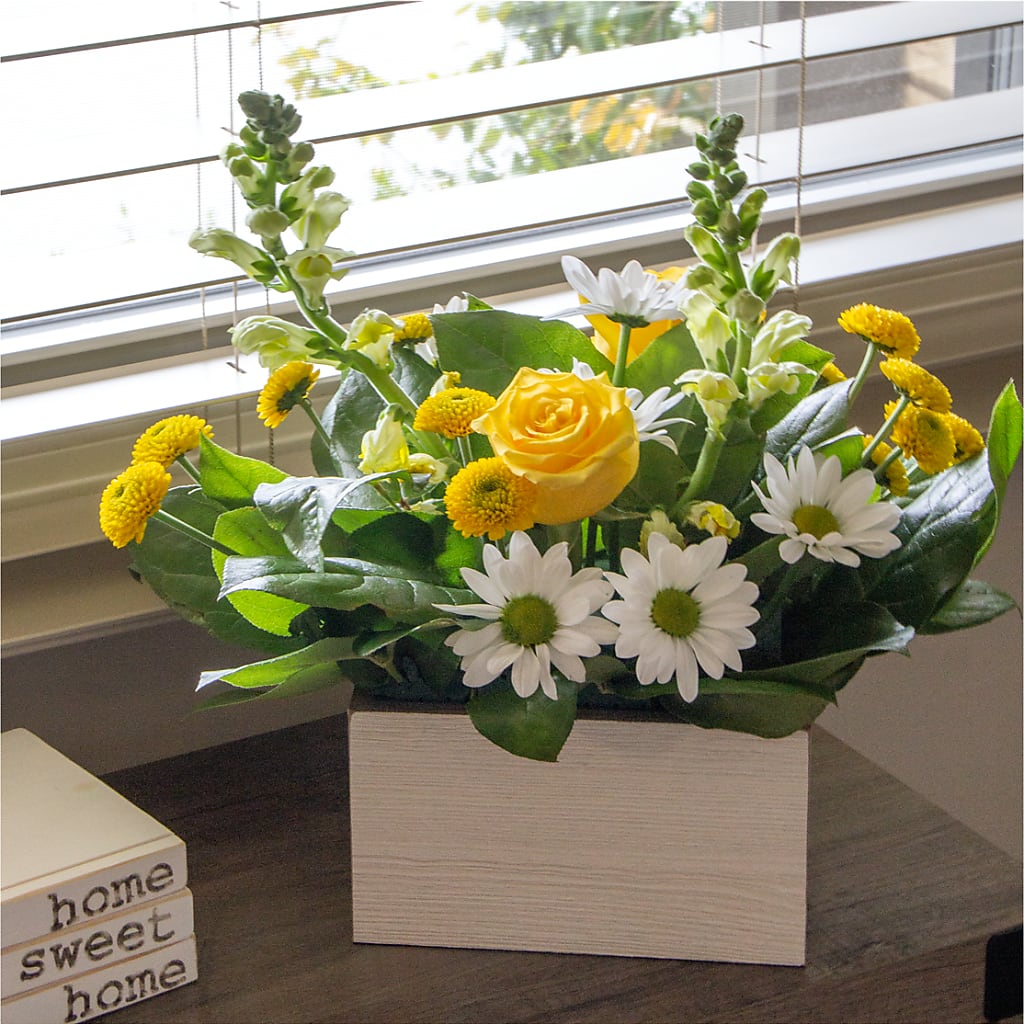 Sun Salutation Box Bouquet –  Kennedale Florist, Saginaw TX