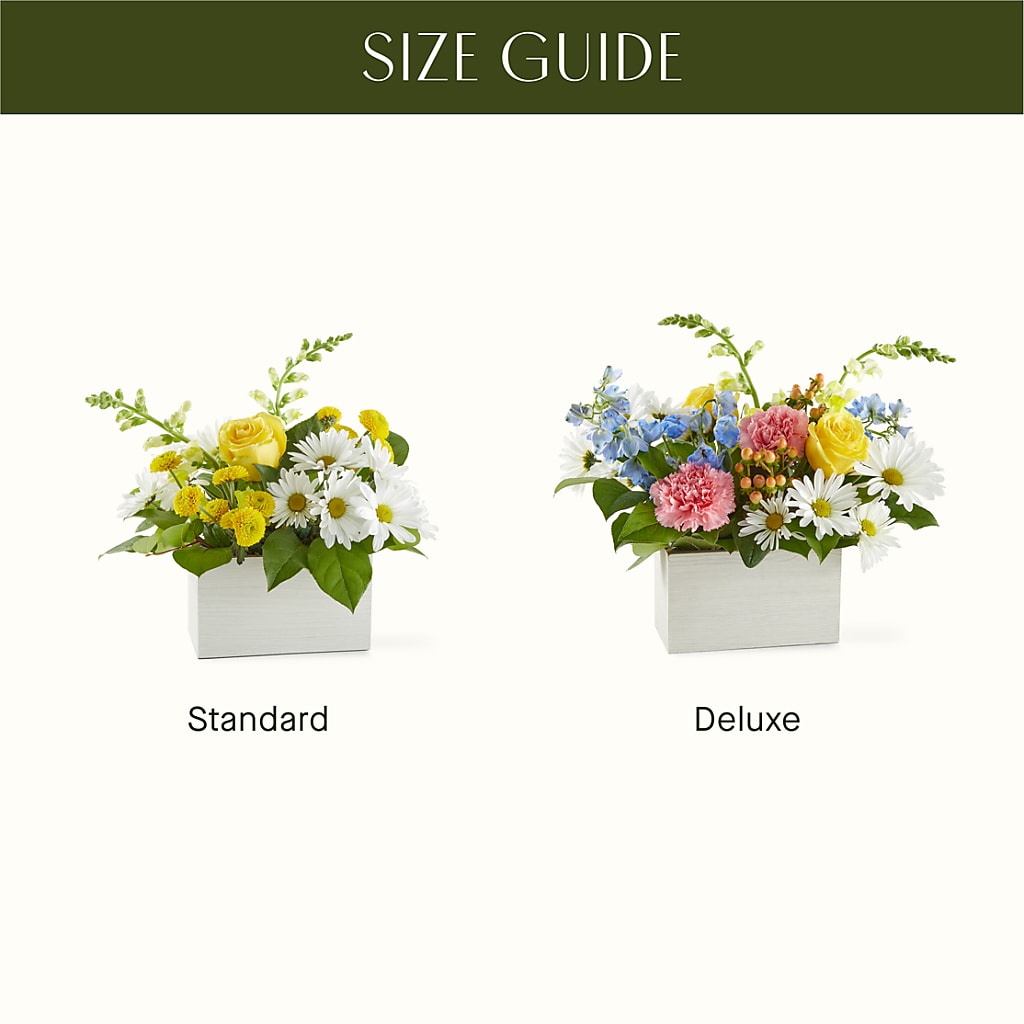 Sun Salutation Box Bouquet –  Kennedale Florist, Saginaw TX