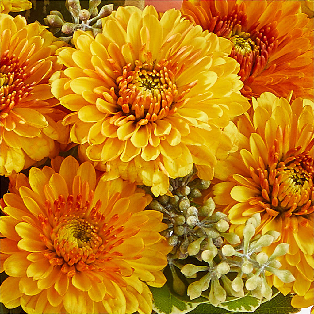 Peachy Pumpkin –  Kennedale Florist, Saginaw TX