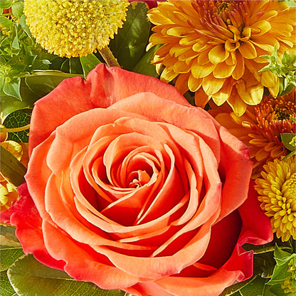 Gourdgeous Pumpkin –  Kennedale Florist, Saginaw TX