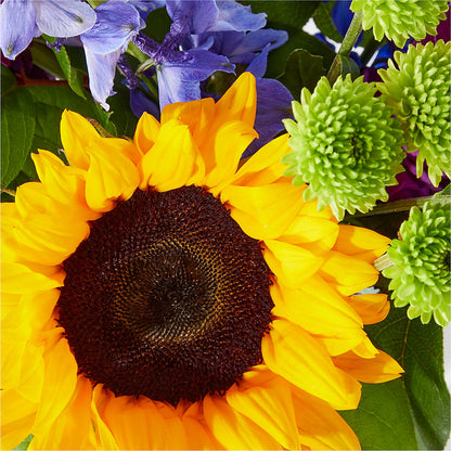 Catching Rays Bouquet –  Kennedale Florist, Saginaw TX