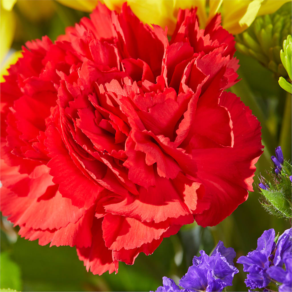 Brighter Days Bouquet –  Kennedale Florist, Saginaw TX