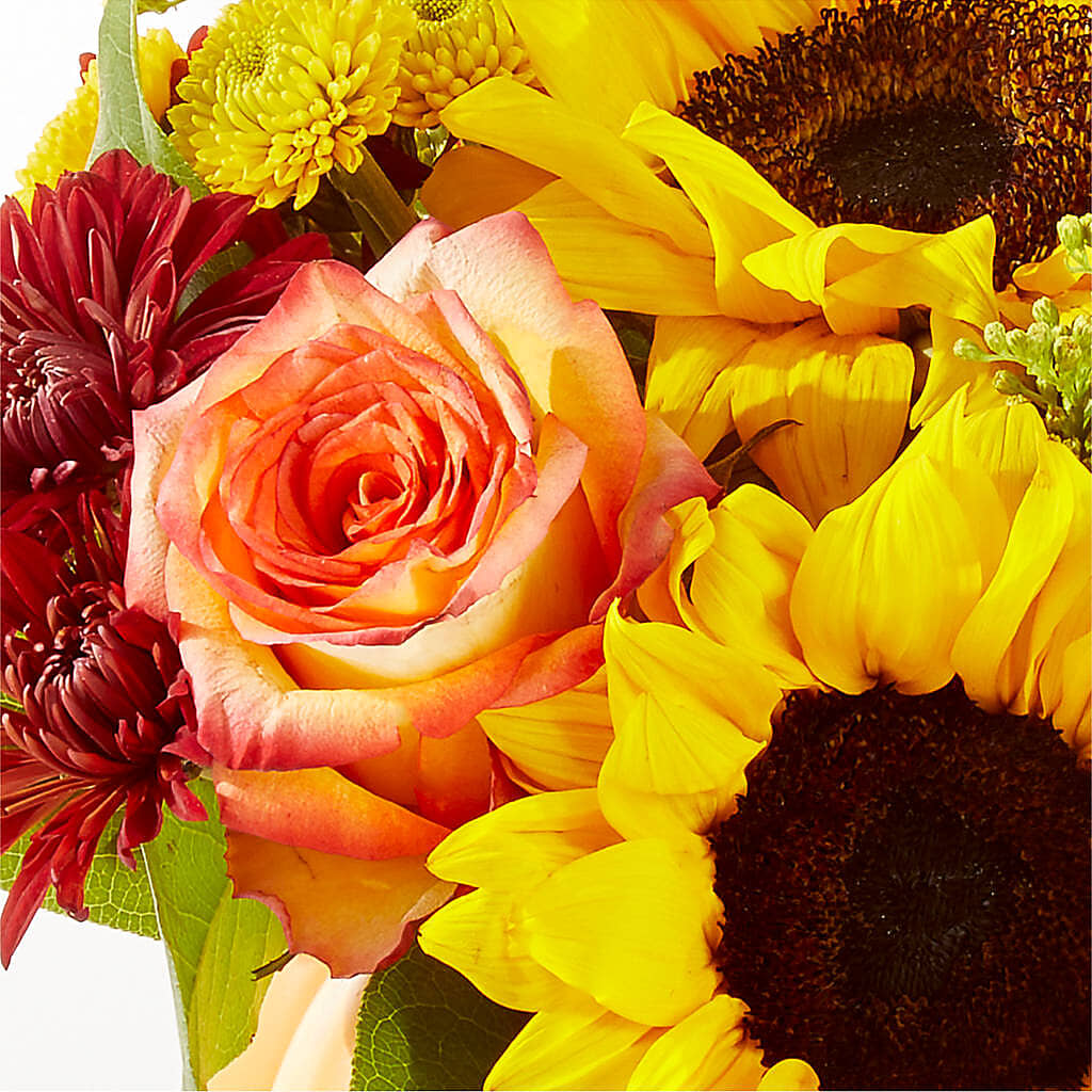 Golden Gourd Pumpkin Bouquet –  Kennedale Florist, Saginaw TX