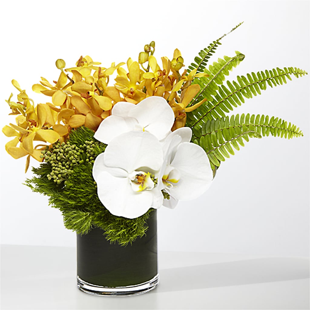 The Tropics –  Kennedale Florist, Saginaw TX