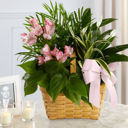 Living Spirit Dishgarden –  Kennedale Florist, Saginaw TX