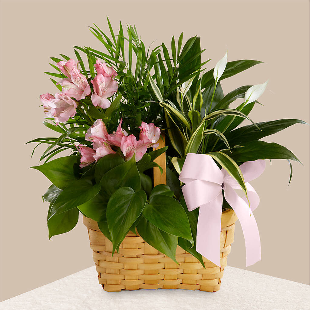 Living Spirit Dishgarden –  Kennedale Florist, Saginaw TX