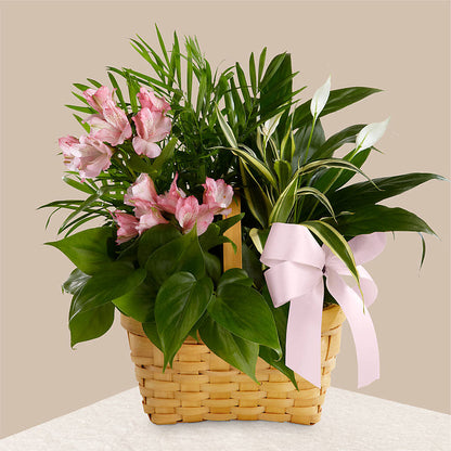 Living Spirit Dishgarden –  Kennedale Florist, Saginaw TX