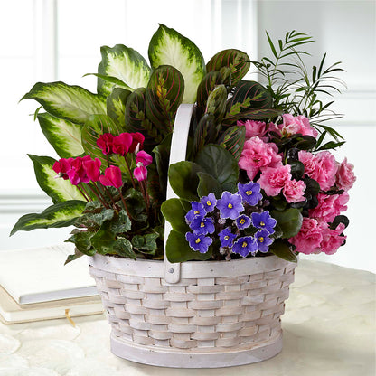 Peaceful Garden Planter –  Kennedale Florist, Saginaw TX