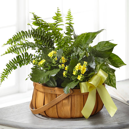 Always Dear Dishgarden –  Kennedale Florist, Saginaw TX