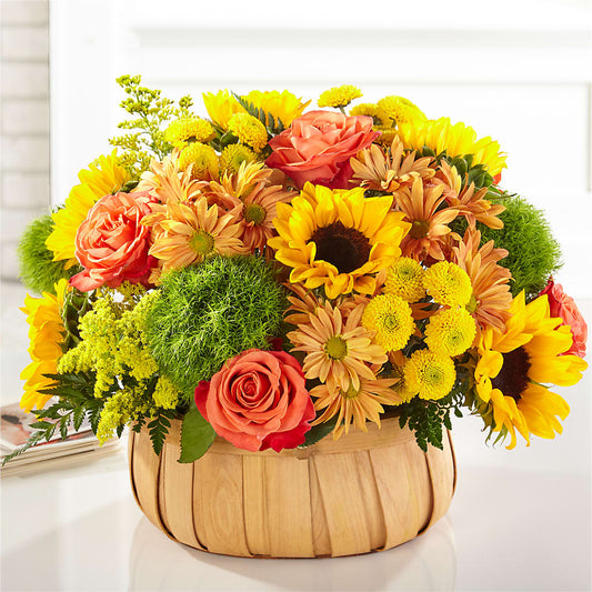 Harvest Sunflower Basket –  Kennedale Florist, Saginaw TX
