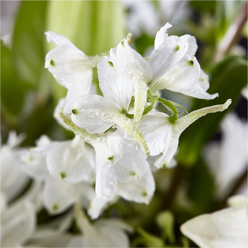 Classic Ivory – A Florist Original –  Kennedale Florist, Saginaw TX
