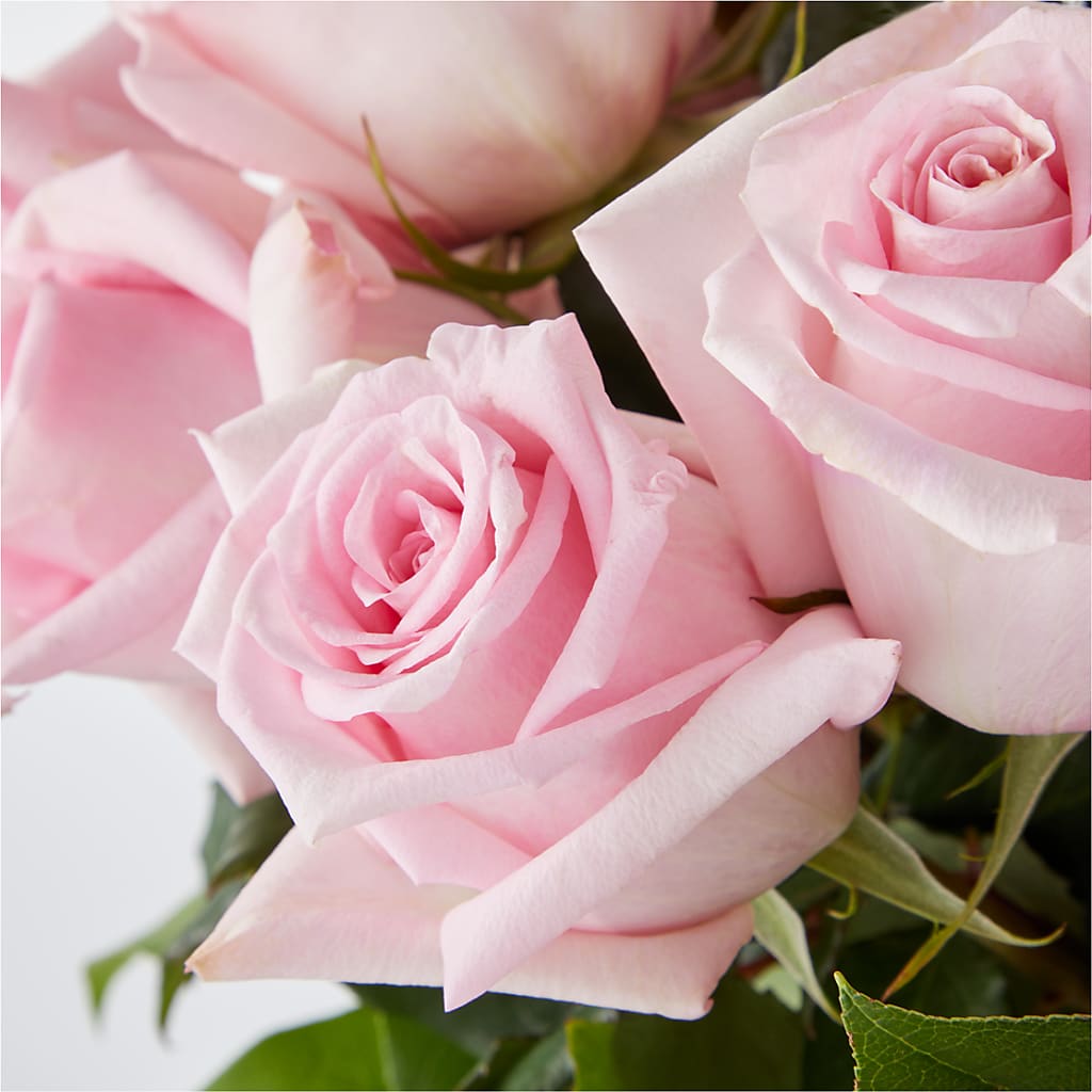 Picture Perfect Pink Rose Bouquet –  Kennedale Florist, Saginaw TX