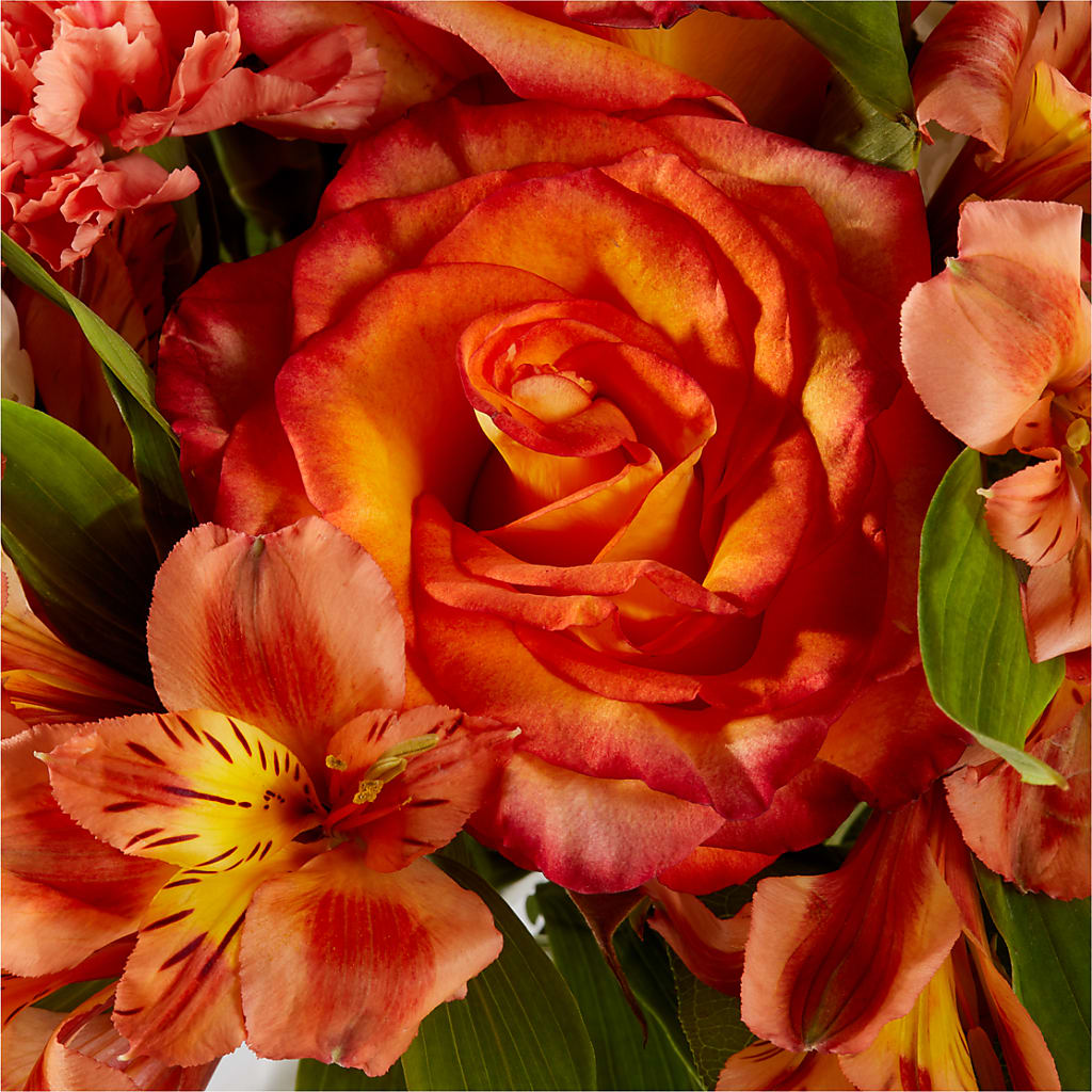 Apricot Glow Bouquet –  Kennedale Florist, Saginaw TX