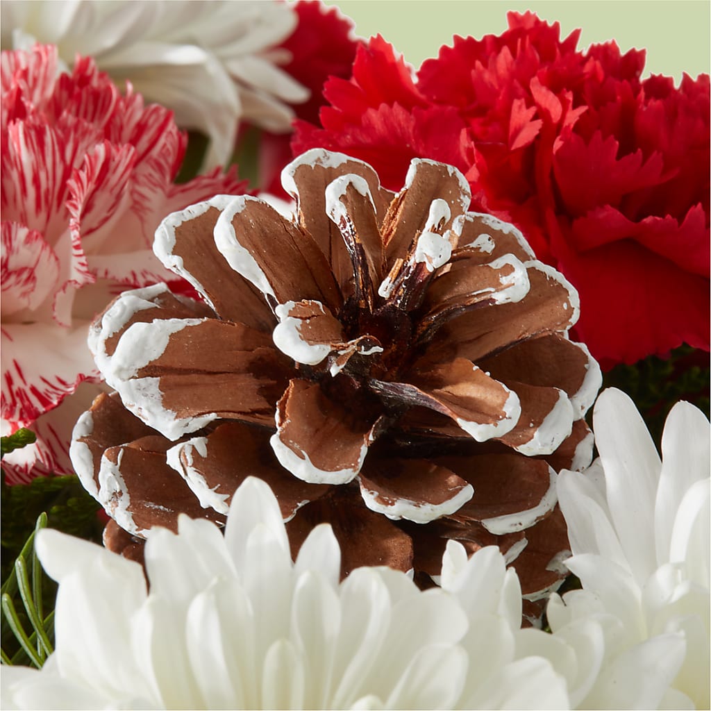 Candy Cane Lane Bouquet –  Kennedale Florist, Saginaw TX