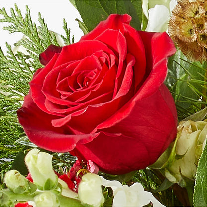 Deck the Halls Bouquet –  Kennedale Florist, Saginaw TX