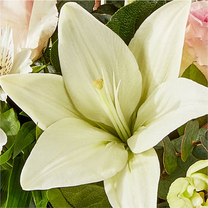 Ballet Slippers Bouquet –  Kennedale Florist, Saginaw TX