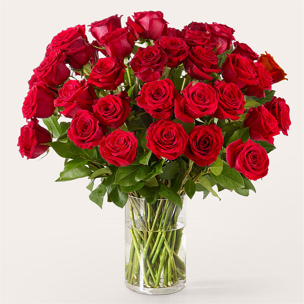 The One Red Rose Bouquet –  Kennedale Florist, Saginaw TX