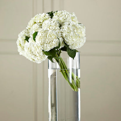 White Hydrangea Hand-Tied Bouquet –  Kennedale Florist, Saginaw TX