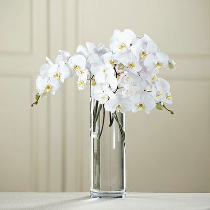 White Phalaenopsis Bouquet –  Kennedale Florist, Saginaw TX